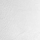 Standard leatherette texture