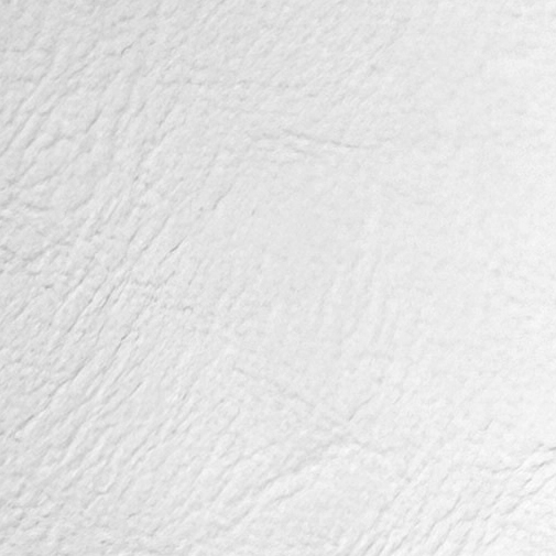 Standard leatherette texture